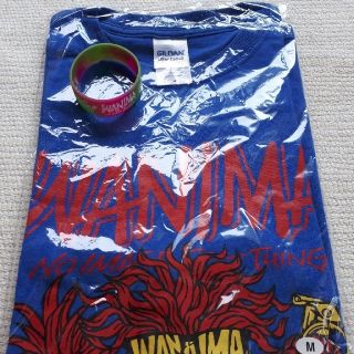 ワニマ(WANIMA)のWANIMA Tシャツ ラババンセット(ミュージシャン)