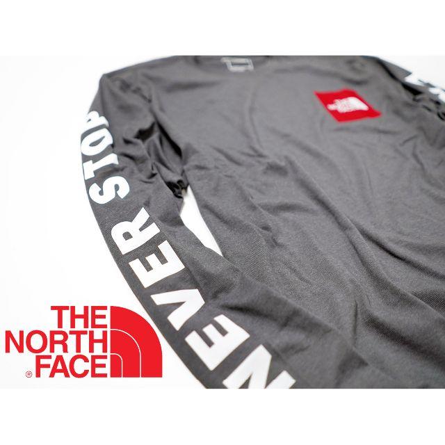 THE NORTH FACE(ザノースフェイス)のノースフェイス Collegiate LS ロンT ロゴ 海外限定 L メンズのトップス(Tシャツ/カットソー(七分/長袖))の商品写真