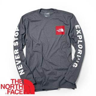 ザノースフェイス(THE NORTH FACE)のノースフェイス Collegiate LS ロンT ロゴ 海外限定 L(Tシャツ/カットソー(七分/長袖))