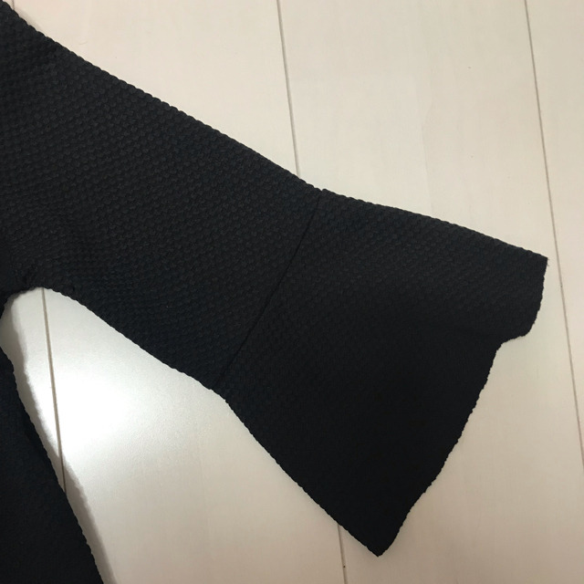 ZARA(ザラ)の☆ZARA☆袖フリルカットソー レディースのトップス(カットソー(長袖/七分))の商品写真