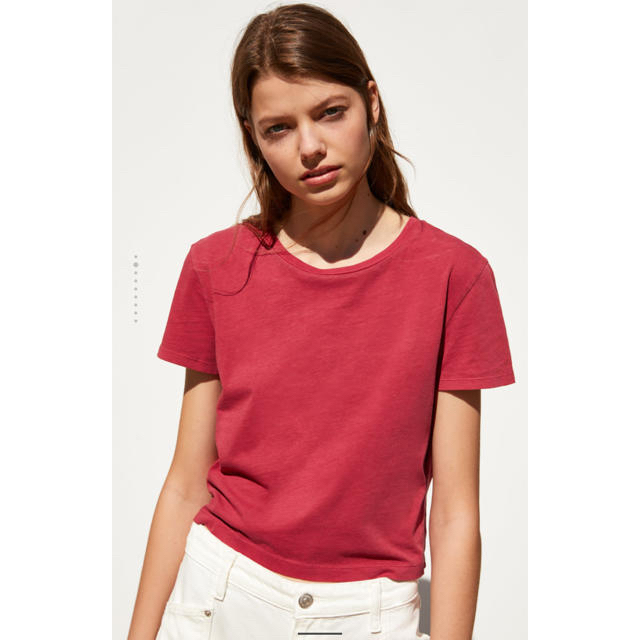 ZARA(ザラ)のタイムセール！！新品タグ付☺︎ZARA 今期完売 Tシャツ レディースのトップス(Tシャツ(半袖/袖なし))の商品写真