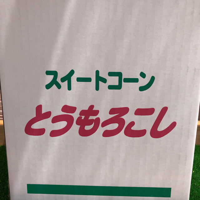 《クール便・本州の方専用》朝採り‼️産地直送‼️ とうもろこし  Ｌサイズのみ 食品/飲料/酒の食品(野菜)の商品写真