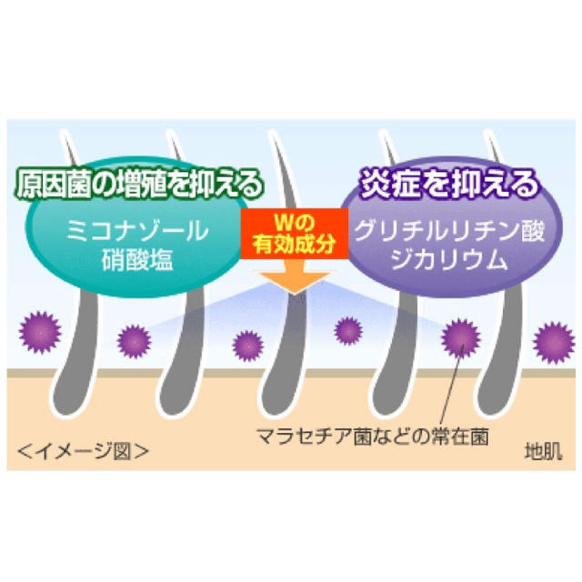 メディクイックフケ痒みを防ぐ頭皮改善シャンプー詰め替え コスメ/美容のヘアケア/スタイリング(シャンプー)の商品写真