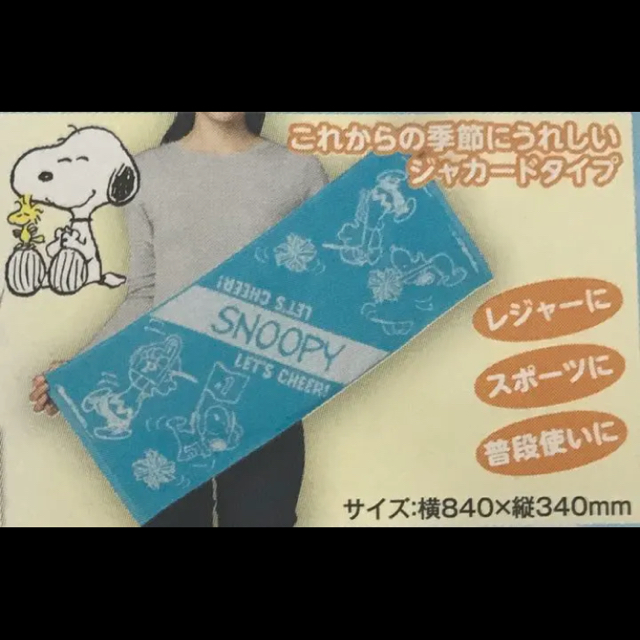 SNOOPY(スヌーピー)のスヌーピー クーラーバッグ タオル セット エンタメ/ホビーのアニメグッズ(その他)の商品写真