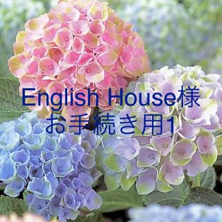 English House様お手続き専用(リング(指輪))