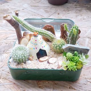 サボテン  多肉植物  寄せ植え  即購入OK！(その他)