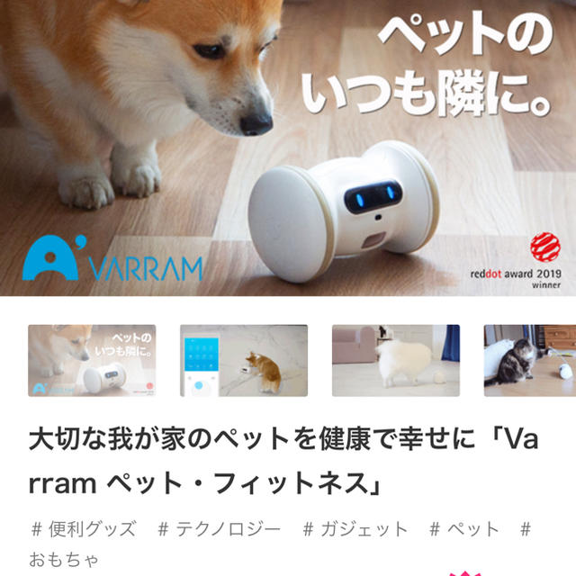 大切な我が家のペットを健康で幸せに「Varram ペット・フィットネス」 - 犬