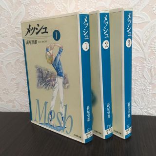 ハクセンシャ(白泉社)の【萩尾望都】メッシュ全3巻セット 白泉社文庫(少女漫画)