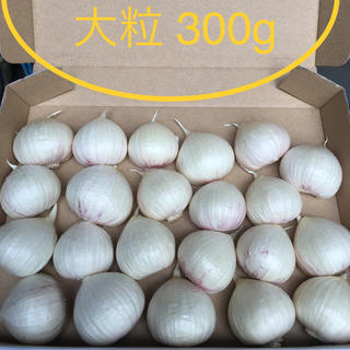 青森県産 半乾燥にんにく 大粒バラ300g(野菜)