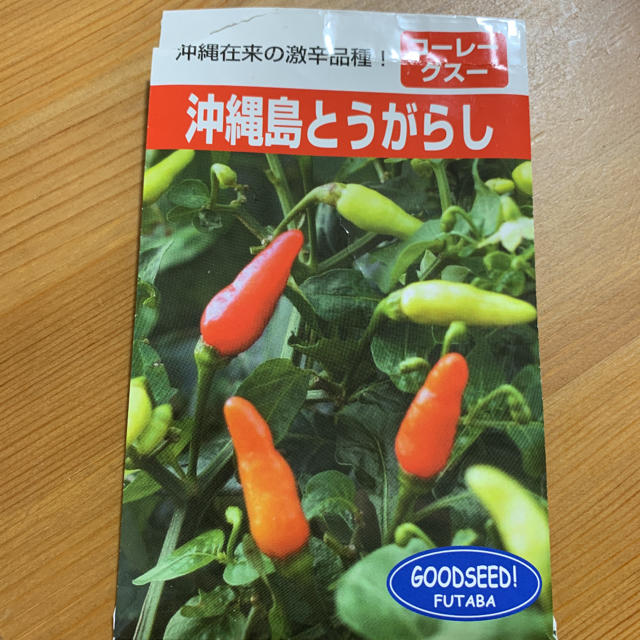 沖縄島とうがらし 種 おまけ付き バラ売り アフリカンマリーゴールド 食品/飲料/酒の食品(野菜)の商品写真