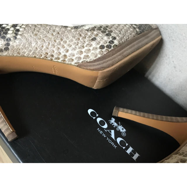 COACH(コーチ)のコーチ パイソン柄　プラットホーム　パンプス  レディースの靴/シューズ(ハイヒール/パンプス)の商品写真