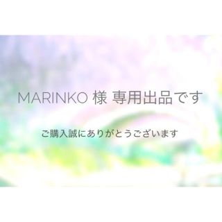 marinko様 専用出品です(ピアス)