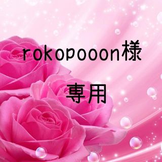 rokopooon様専用  お米　H30　愛媛県産あきたこまち　玄米　30㎏(米/穀物)