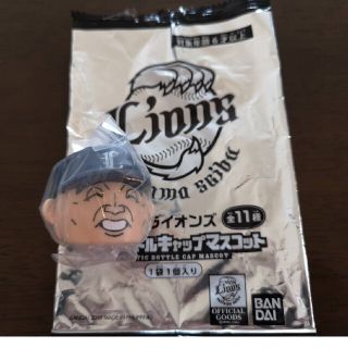 サイタマセイブライオンズ(埼玉西武ライオンズ)の【ちいたけ屋食堂様専用】西武ライオンズ　ペットボトルキャップ(記念品/関連グッズ)