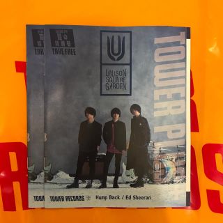 ユニゾンスクエアガーデン(UNISON SQUARE GARDEN)のタワープラス  2冊(ミュージシャン)