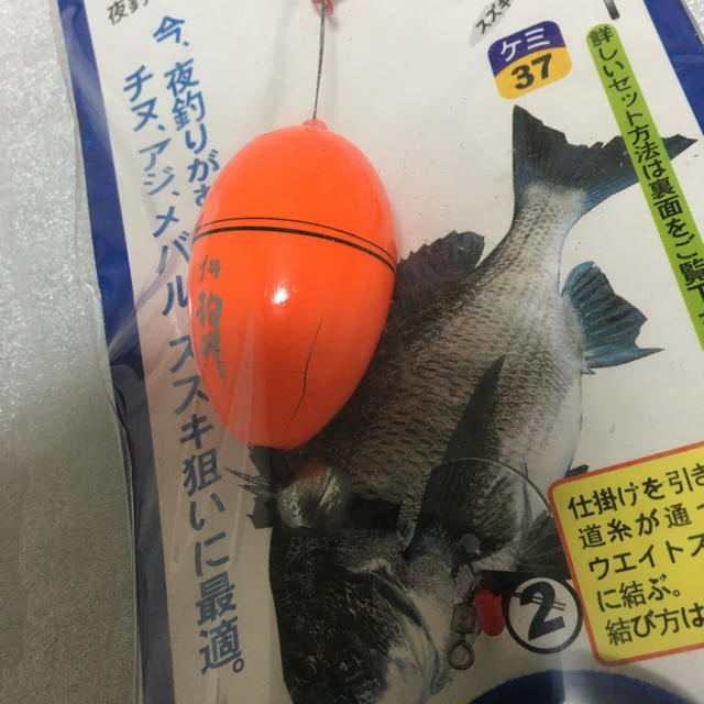 DAIWA(ダイワ)のチヌ釣り 仕掛け スポーツ/アウトドアのフィッシング(釣り糸/ライン)の商品写真