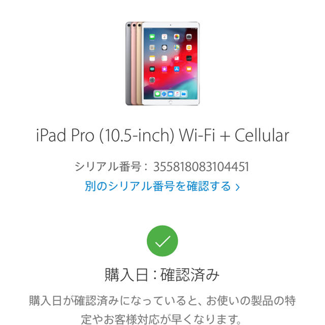 iPad Pro 10.5 WiFi+Cellularタイプ 1