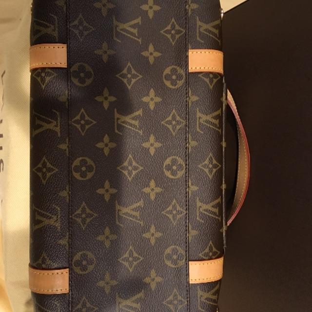 LOUIS VUITTON(ルイヴィトン)のサックバクスター PM ルイヴィトン その他のペット用品(犬)の商品写真