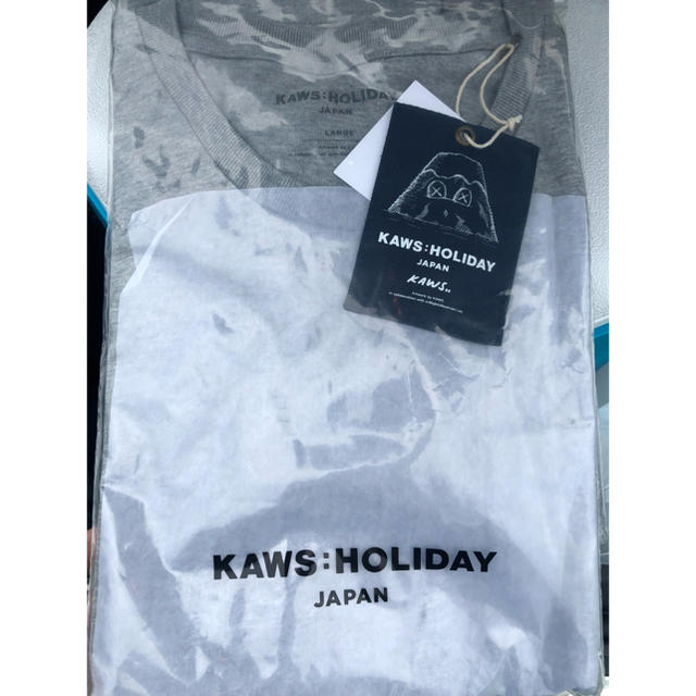 Dior(ディオール)のkaws holiday 日本限定 Tシャツ L メンズのトップス(Tシャツ/カットソー(半袖/袖なし))の商品写真