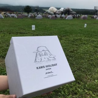 オフホワイト(OFF-WHITE)の1個 KAWS HOLIDAY Grey 限定 plush japan 日本(ぬいぐるみ)