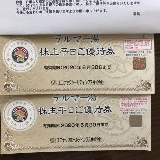 テルマー湯  優待券(その他)