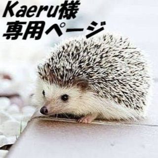 「Kaeru様　専用ページ」(その他)