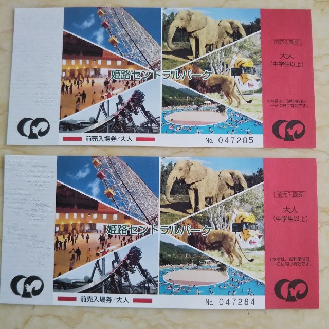 姫路セントラルパーク ペアチケット チケットの施設利用券(遊園地/テーマパーク)の商品写真