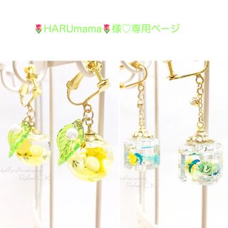 🌷︎HARUmama🌷︎様♡専用ページ(ピアス)