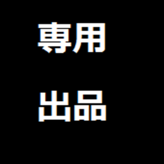 ✴︎NANA✴︎様専用(その他)