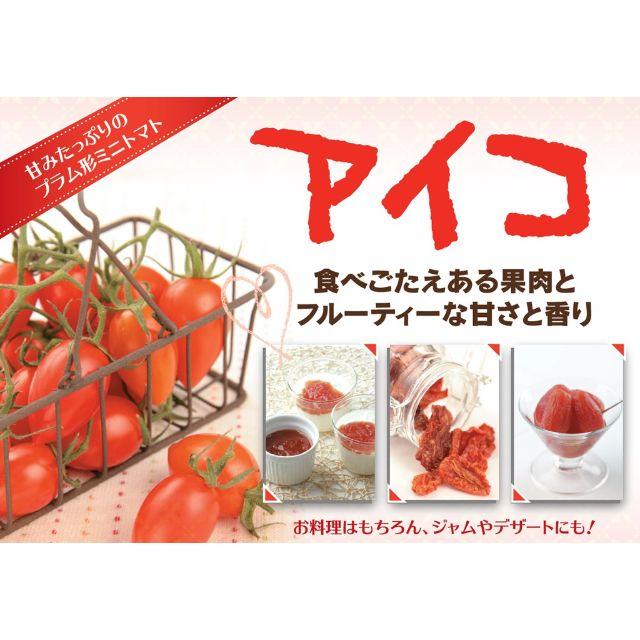 ミニトマト アイコの通販 By Fusakoo S Shop ラクマ
