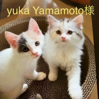 アンタイトル(UNTITLED)のyuka Yamamoto様専用(ネックレス)