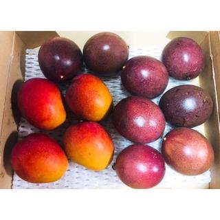 甘い！沖縄産人気のミニマンゴー、パッションフルーツの美味しい！満足セット(フルーツ)