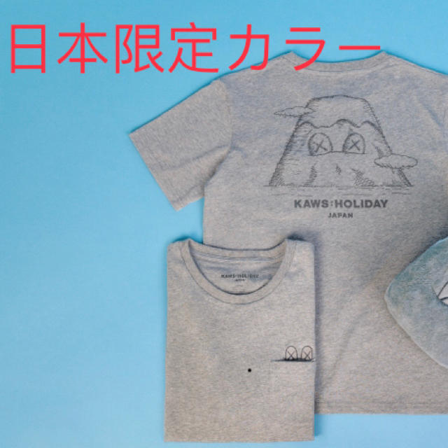 KAWS HOLIDAY 日本富士山限定 Tシャツ Grey