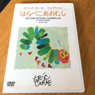 はらぺこあおむしDVD(キッズ/ファミリー)