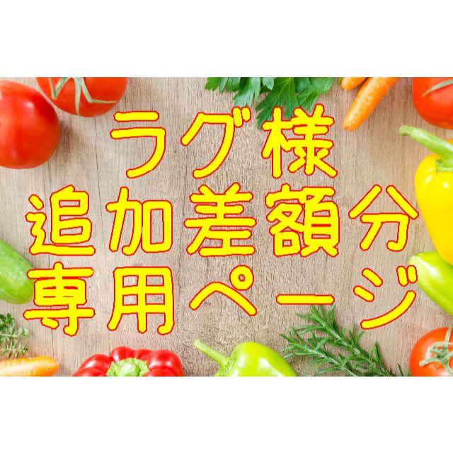 ★ラグ様　追加購入差額お支払い　専用ページ 食品/飲料/酒の食品(野菜)の商品写真