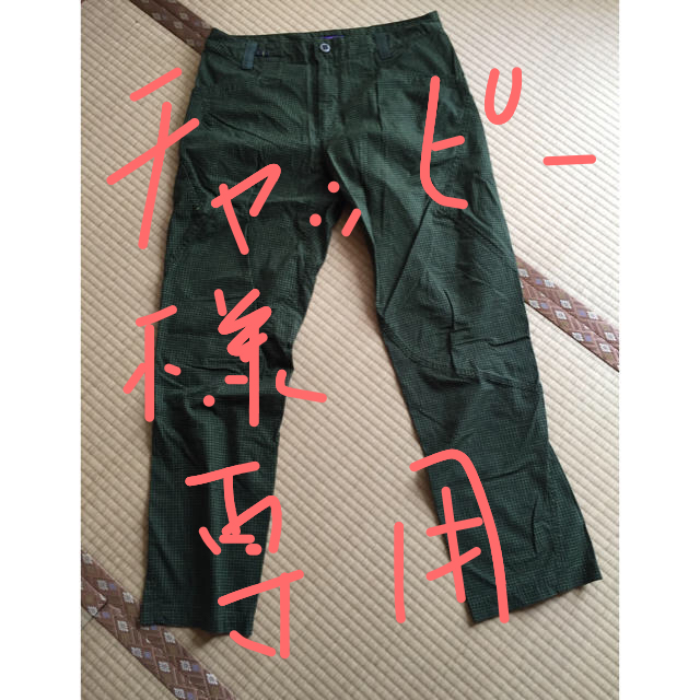 patagonia(パタゴニア)のpatagonia venga rock pants 34 メンズのパンツ(ワークパンツ/カーゴパンツ)の商品写真