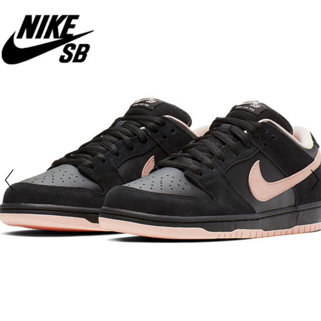 NIKE(ナイキ)のNIKE SB DUNK LOW  メンズの靴/シューズ(スニーカー)の商品写真