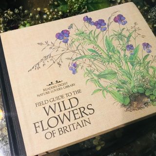 洋書 古書 Wild Flowers Of Britain 植物図鑑の通販 ラクマ 洋書 古書 Wild Flowers Of Britain 植物図鑑の通販 ラクマ