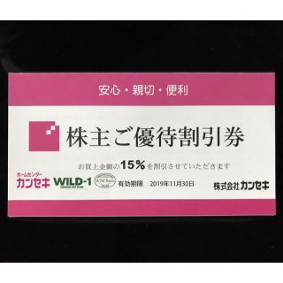 スノーピーク(Snow Peak)のカンセキ優待割引券15%OFF 1枚(その他)