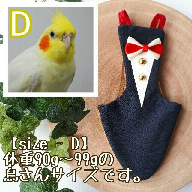 でおすすめアイテム。 フライトスーツ 鳥 インコ agapeeurope.org
