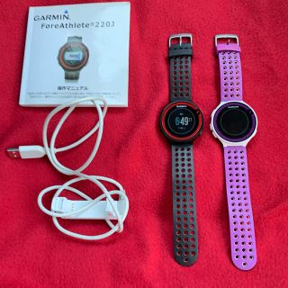 ガーミン(GARMIN)のGA R M IＮ220Ｊ  ２本セット(その他)