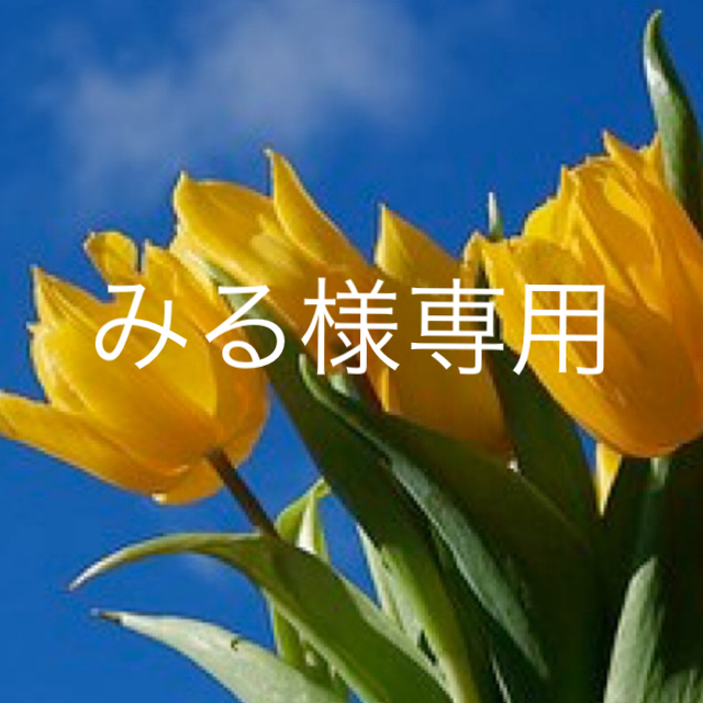 ニナファーム みる様専用 - meridianbrandy.com