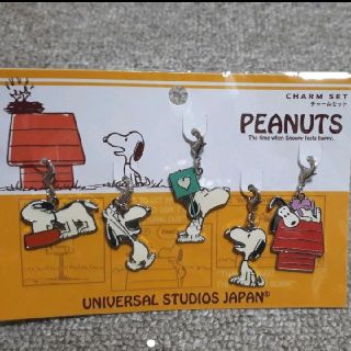スヌーピー(SNOOPY)のスヌーピー　チャームセット　USJ(キャラクターグッズ)