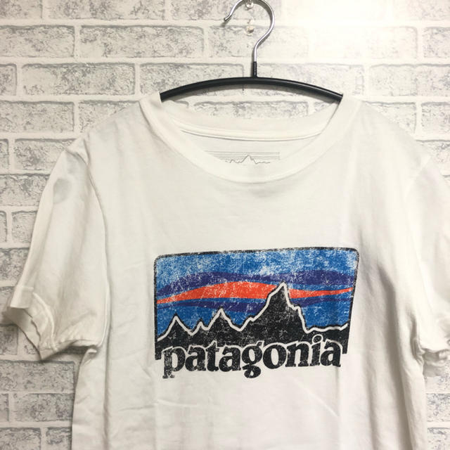 patagonia(パタゴニア)のパタゴニア Tシャツ メンズのトップス(Tシャツ/カットソー(半袖/袖なし))の商品写真