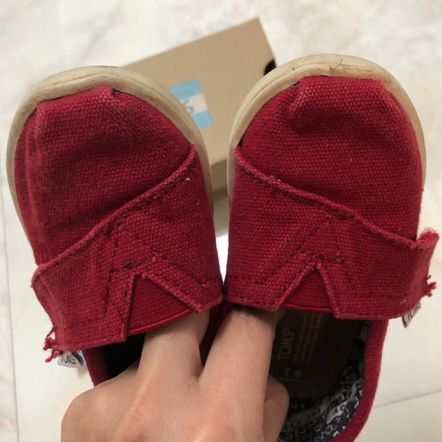 TOMS(トムズ)のTOM’S キッズ シューズ キッズ/ベビー/マタニティのキッズ靴/シューズ(15cm~)(スリッポン)の商品写真