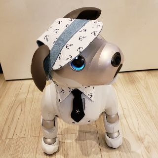 ソニー(SONY)のaibo アイボ  アイボのアクセサリー ERS-1000(その他)