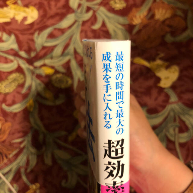 学研(ガッケン)の最短の時間で最大の成果を手に入れる 超効率勉強法 エンタメ/ホビーの本(ビジネス/経済)の商品写真