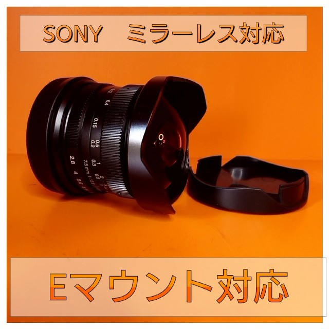 初めての魚眼レンズ！フィッシュアイレンズ！SONYミラーレス用！サードパーティ！