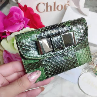 クロエ(Chloe)のクロエ 財布 ミニ リリィ リボン パイソン ❤レア❤美品✨本革 蛇 ヘビ(財布)