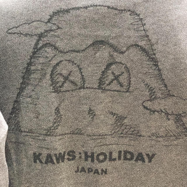 KAWS HOLIDAY 日本富士山限定 Tシャツ Grey - www.hug.business